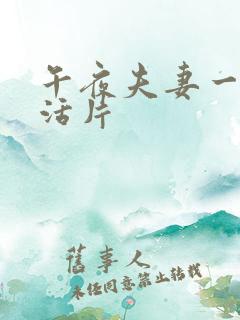 午夜夫妻一级生活片