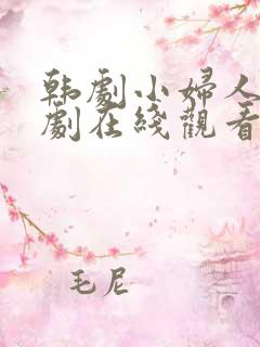 韩剧小妇人电视剧在线观看免费高清