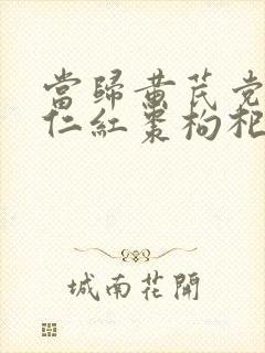 当归黄芪党参薏仁红枣枸杞乌鸡汤