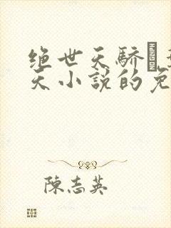 绝世天骄·叶凌天小说的免费阅读