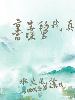 重生的我真没想当暖男