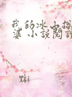 我的冰山总裁老婆 小说阅读