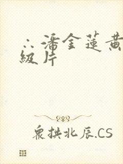 ∴潘金莲黄色一级片