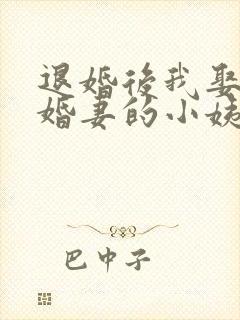 退婚后我娶了未婚妻的小姨