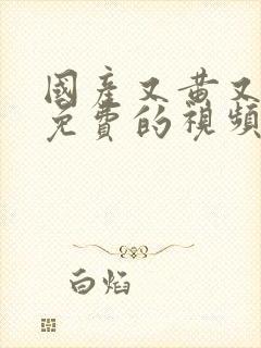 国产又黄又湿又免费的视频