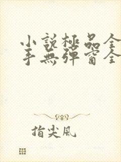 小说极品全能高手无弹窗全文免费阅读