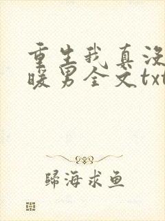 重生我真没想当暖男全文txt下载