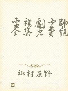 电视剧少帅48全集免费观看第一季