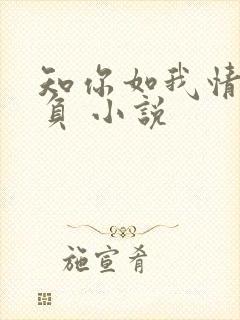 知你如我情深不负 小说