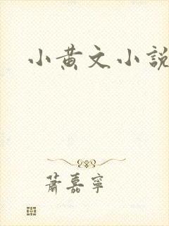 小黄文小说