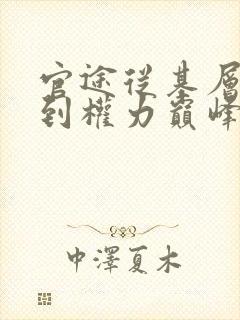 官途从基层科长到权力巅峰的小说