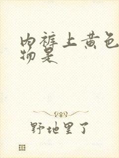 内裤上黄色分泌物是