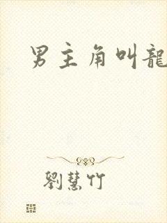 男主角叫龙傲天