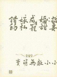 错嫁成婚:总裁的私宠甜妻 短剧