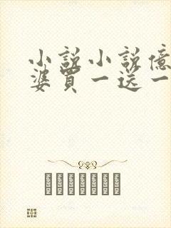 小说小说亿万老婆买一送一