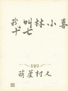 我叫林小喜今年十七