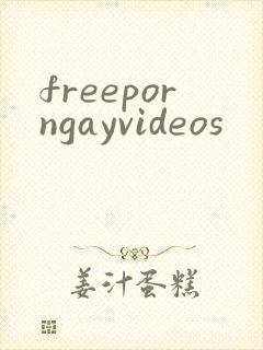 freeporngayvideos