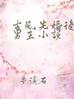 古风先婚后爱双男主小说