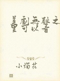 美剧无耻之徒哪里可以看