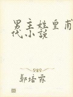 男主姓皇甫的现代小说