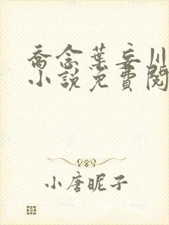 乔念叶妄川正版小说免费阅读