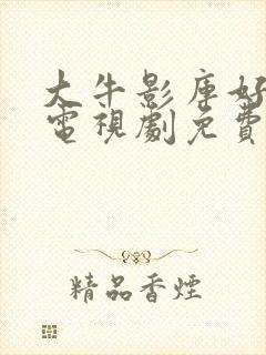 大牛影库好姑娘电视剧免费观看