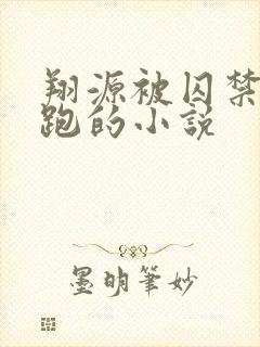 翔源被囚禁后逃跑的小说