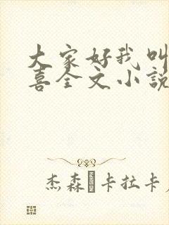 大家好我叫林小喜全文小说