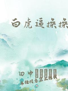白虎逼操操操