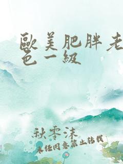 欧美肥胖老妇黄色一级