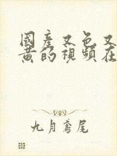 国产又色又爽又黄的视频在线观看