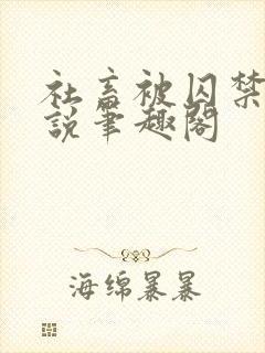 社畜被囚禁后小说笔趣阁