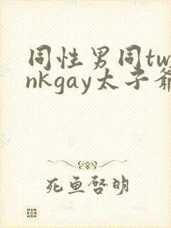 同性男同twinkgay太子爷