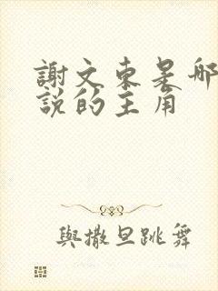 谢文东是哪部小说的主角