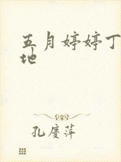 五月婷婷丁香基地