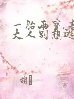 一胎两宝,老婆大人别想逃