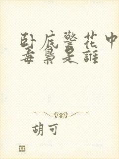 卧底警花中最大毒枭是谁