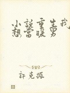 小说重生我真没想当暖男