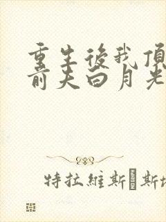 重生后我顶替了前夫白月光好看吗