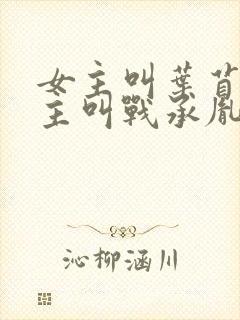 女主叫叶苜苜男主叫战承胤的小说