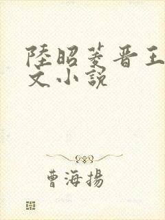 陆昭菱晋王的全文小说