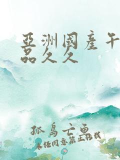 亚洲国产午夜精品久久