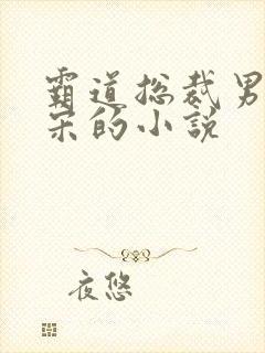 霸道总裁男主姓宋的小说