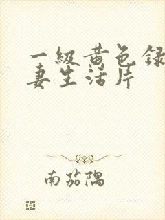 一级黄色录像夫妻生活片