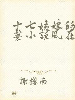 十七姨娘的男丫鬟小说风在先