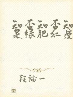 知否知否知否应是绿肥红瘦dvd版在线观看