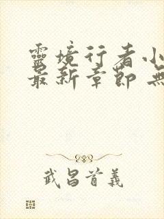 灵境行者小说 最新章节 无弹窗