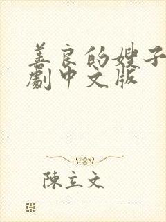 善良的嫂子2韩剧中文版