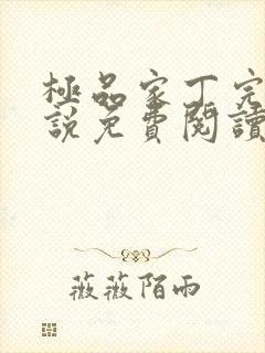 极品家丁完整小说免费阅读免费无广告