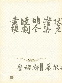 黄晓明潜伏者电视剧全集免费观看